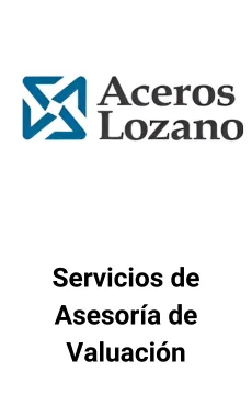 Seale Asesoró a Aceros Lozano en Servicios de Valuación &mdash; tombstone