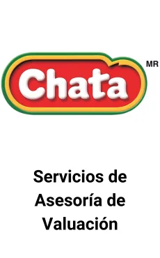Seale Asesoró a Chata en Servicios de Valuación — asesoría M&A de Seale & Associates