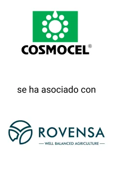 Cosmocel se asocia con Rovensa — asesoría M&A de Seale & Associates