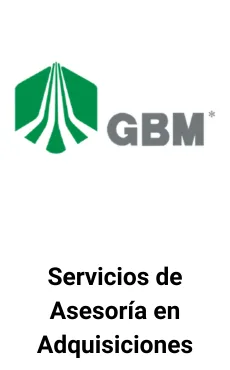 Seale Asesoró a GBM en un Programa Confidencial de Adquisiciones &mdash; asesoría M&A de Seale & Associates