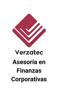 Seale Asesoró a Verzatec en Alternativas Estratégicas &mdash; tombstone