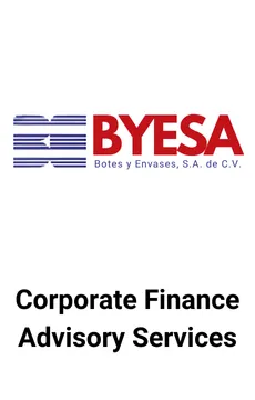 Seale Advised BYESA on Corporate Finance Advisory Services — M&A advisory by Seale & Associates