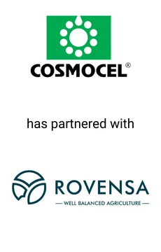 Seale Advised Cosmocel on its Partnership with Rovensa — M&A advisory by Seale & Associates
