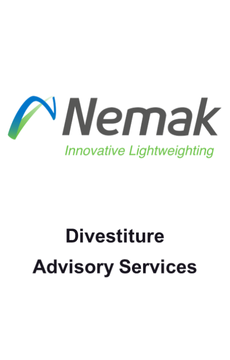 Seale & Associates: nemak divestiture advisory services